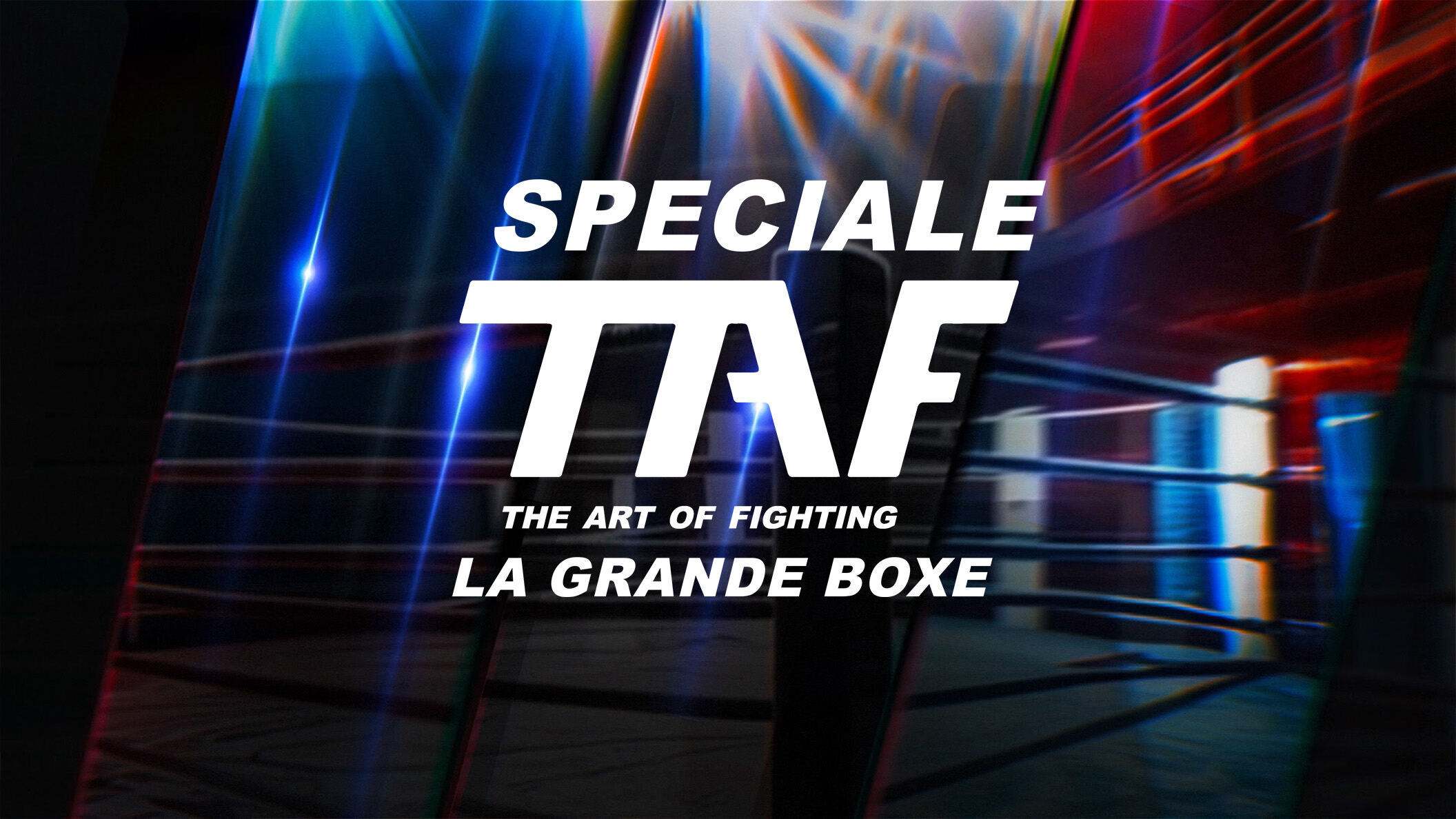 Speciale the art of fighting 13 - la grande boxe