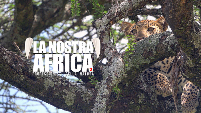 La nostra Africa: professionisti della natura 2
