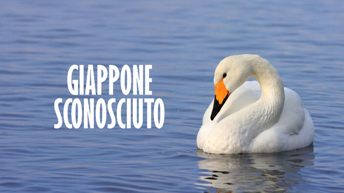 Giappone sconosciuto