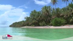 Bocas del Toro: La Panama più selvaggia e incontaminata
