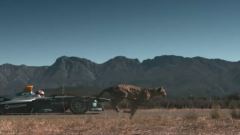 Formula E: la monoposto sfida il ghepardo