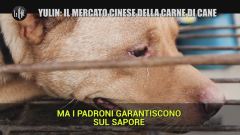Yulin, il crudele mercato della carne di cane a Le Iene