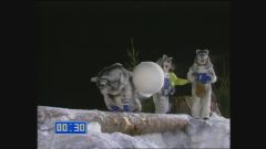 Le supercadute degli uomini husky nel gioco di Bellezze sulla neve