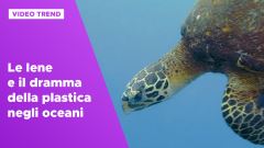 Le Iene e il dramma della plastica negli oceani