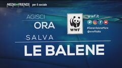 WWF Italia Onlus