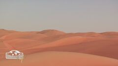 Donnavventura cafè: Tour tra le dune del deserto