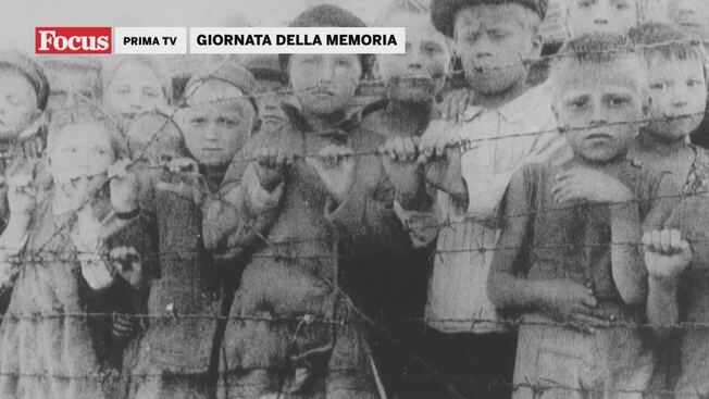 Giornata della memoria - Promo Video | Mediaset Play