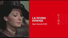 Ciclo - Divina Edwige