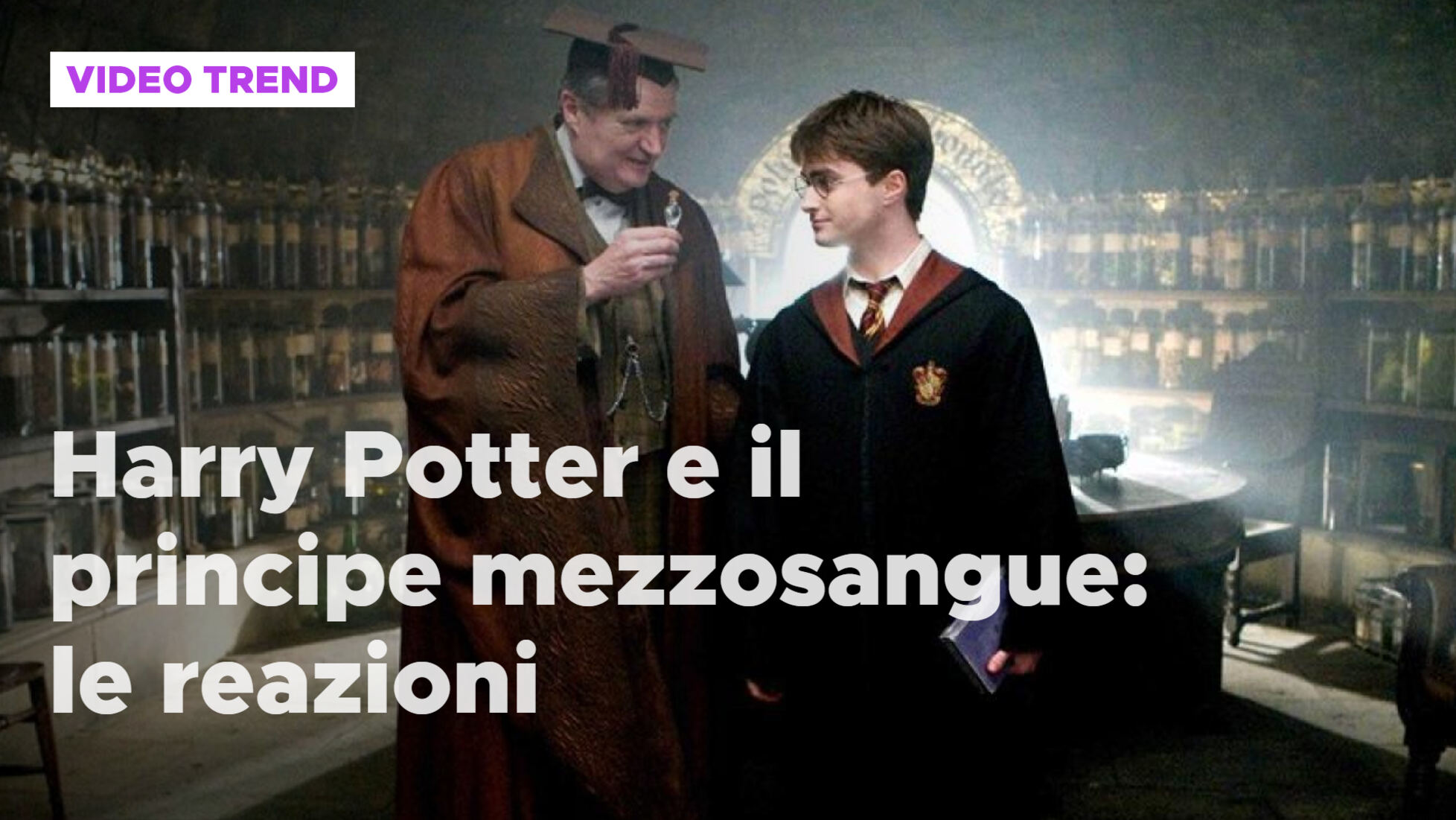 Harry Potter e il Principe Mezzosangue: la battaglia di Maggie