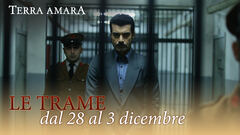 Le trame dal 28 al 3 dicembre