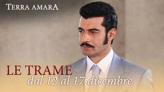 Le trame dal 12 al 17 dicembre