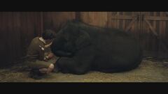 Zoo - Un amico da salvare