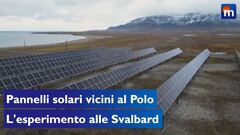Pannelli solari alle isole Svalbard, l'esperimento per spingere la transizione energetica