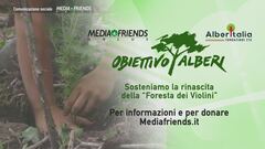 Obiettivo Alberi: sosteniamo la rinascita della "Foresta dei Violini"