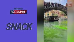 Venezia, l'acqua del Canal Grande tinta di verde