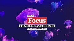Oceani: creature bizzarre