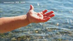 Marevivo e Mediafriends: Dai una mano al mare