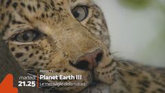 Planet Earth III - Le meraviglie della natura