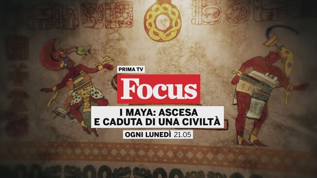 La caduta dei re Maya