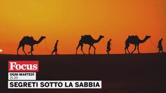 Segreti sotto la sabbia