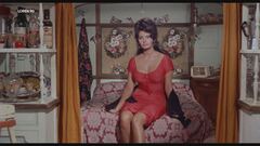 Loren 90