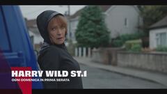 Harry Wild - La signora del delitto