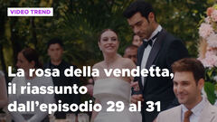 La rosa della vendetta, il riassunto dall'episodio 29 al 31