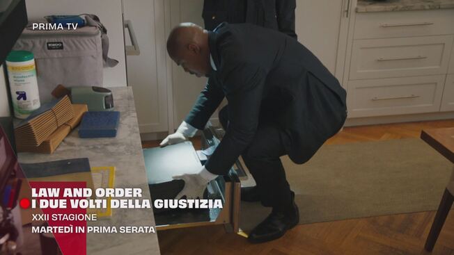 Law & Order: I due volti della giustizia