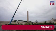 Ecco l'albero di Natale in Vaticano