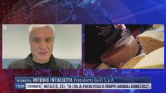 Antonio Intiglietta: "L'artigiano come scelta di vita"