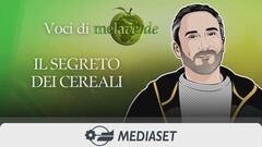 Ep. 7 - Il segreto dei cereali
