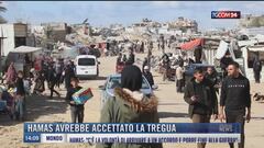 Breaking News delle 14.00 | Hamas avrebbe accettato la tregua