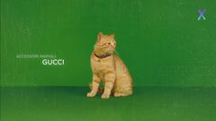 Fashion Pets, collezioni esclusive per amici a quattro zampe