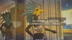 I colori del Carnevale di Viareggio tra arte e moda