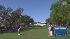 La clamorosa "buca in uno" di Steven Fisk al Valspar Championship