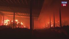 Incendi in Corea del Sud, decine di morti e migliaia di evacuati