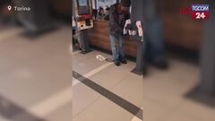 Torino, Ultima Generazione in un fast food: "Stop agli allevamenti intensivi"