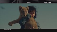 King - Un cucciolo da salvare