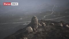 Storie segrete - Tombe senza tempo e sopravvissuti moderni