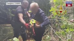 Cagnolino intrappolato in un pozzo, tratto in salvo dopo tre ore