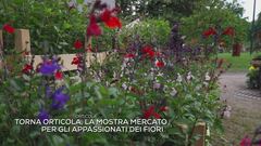 Maggio, dal Chelsea Flower show a Orticola, è il tempo dei fiori