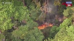 Messico, vasti incendi scoppiano in tutto il Paese