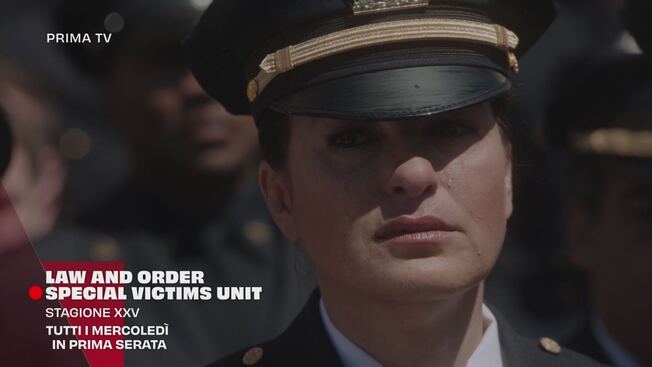 Law & Order: Unità Speciale