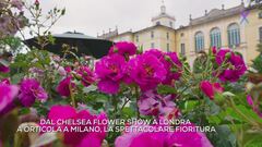 Ode alla rosa: dalla natura alla letteratura, celebriamo la regina dei fiori Ode alla rosa: dalla natura alla letteratura, celebriamo la regina dei fiori
