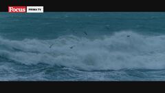 Wadden sea - Un mare da brividi