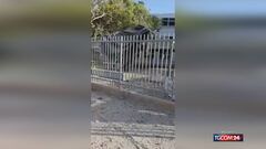 Israele, colpita una scuola a Holon