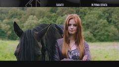 Windstorm - Contro ogni regola