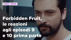 Forbidden Fruit, il riassunto e le reazioni agli episodi 9 e 10 prima parte