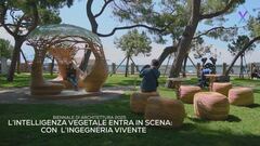 La Biennale di Architettura 2025 tra natura, tecnologia e adattamento