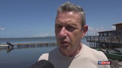 Orbetello invaso dai granchi blu: pescatori disperati
